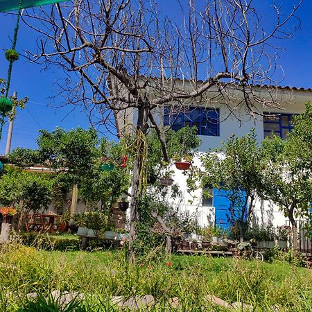 The Willow B&B Urubamba Eksteriør billede