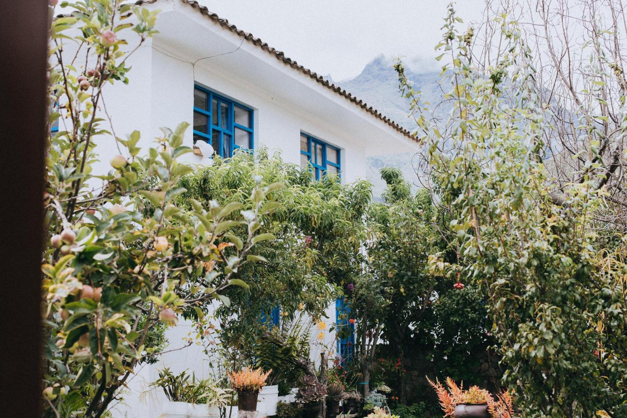 The Willow B&B Urubamba Eksteriør billede